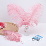 12 Pc Natural Plume Real Ostrich Feathers, DIY Centerpiece Fillers 13"-15" Pink