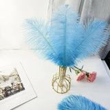 12 Pc Natural Plume Real Ostrich Feathers, DIY Centerpiece Fillers 24"-26" Lake Blue