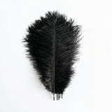 12 Pc Natural Plume Real Ostrich Feathers, DIY Centerpiece Fillers 24"-26" Black