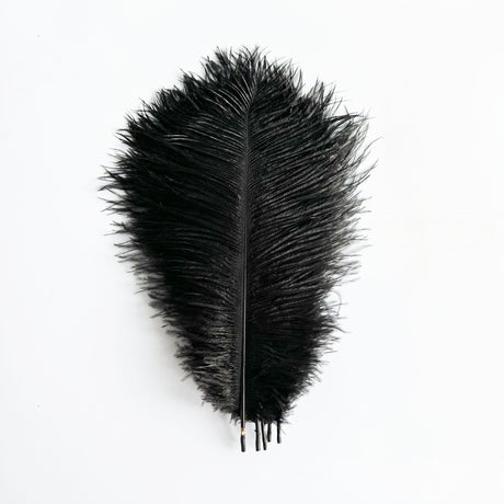 12 Pc Natural Plume Real Ostrich Feathers, DIY Centerpiece Fillers 24"-26" Black