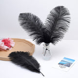 12 Pc Natural Plume Real Ostrich Feathers, DIY Centerpiece Fillers 24"-26" Black