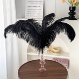 12 Pc Natural Plume Real Ostrich Feathers, DIY Centerpiece Fillers 24"-26" Black