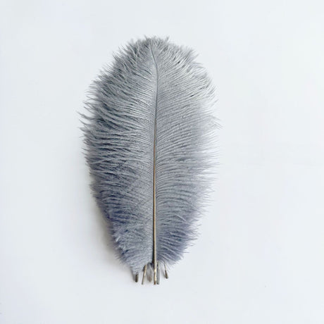 12 Pc Natural Plume Real Ostrich Feathers, DIY Centerpiece Fillers 24"-26" Gray