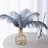 12 Pc Natural Plume Real Ostrich Feathers, DIY Centerpiece Fillers 24"-26" Gray