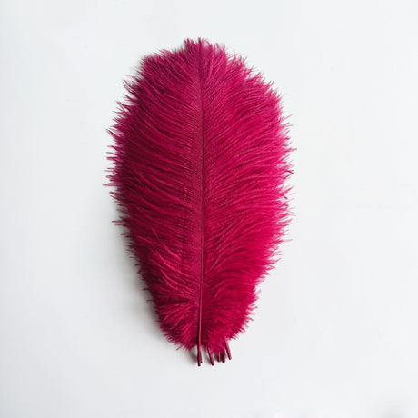 12 Pc Natural Plume Real Ostrich Feathers, DIY Centerpiece Fillers 24"-26" Wine Red