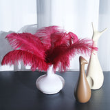12 Pc Natural Plume Real Ostrich Feathers, DIY Centerpiece Fillers 24"-26" Wine Red