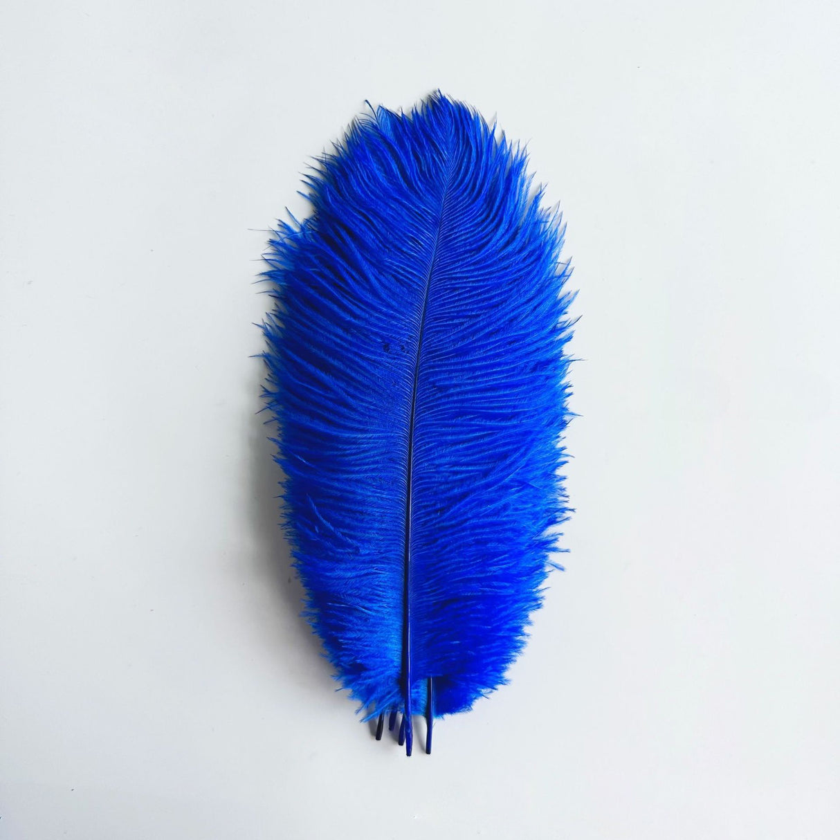 12 Pc Natural Plume Real Ostrich Feathers, DIY Centerpiece Fillers 13"-15" Royal Blue