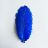 12 Pc Natural Plume Real Ostrich Feathers, DIY Centerpiece Fillers 13"-15" Royal Blue