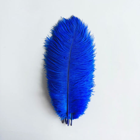 12 Pc Natural Plume Real Ostrich Feathers, DIY Centerpiece Fillers 24"-26" Royal Blue