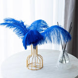 12 Pc Natural Plume Real Ostrich Feathers, DIY Centerpiece Fillers 13"-15" Royal Blue