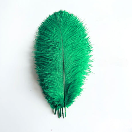 12 Pc Natural Plume Real Ostrich Feathers, DIY Centerpiece Fillers 24"-26" Meadow Green