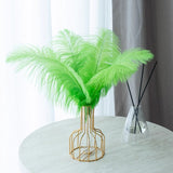 12 Pc Natural Plume Real Ostrich Feathers, DIY Centerpiece Fillers 24"-26" Lime Green