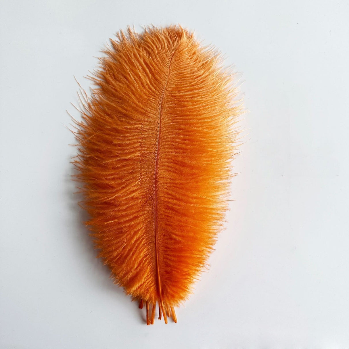 12 Pc Natural Plume Real Ostrich Feathers, DIY Centerpiece Fillers 13"-15" Orange