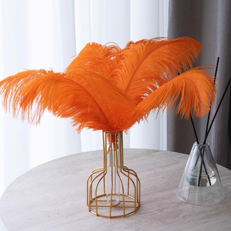 12 Pc Natural Plume Real Ostrich Feathers, DIY Centerpiece Fillers 13"-15" Orange