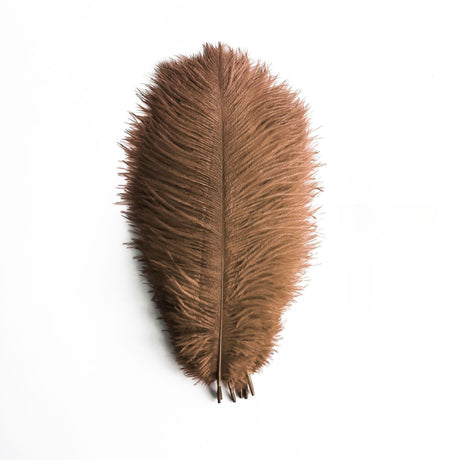 12 Pc Natural Plume Real Ostrich Feathers, DIY Centerpiece Fillers 24"-26" Coffee