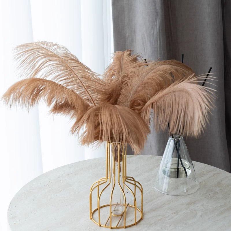 12 Pc Natural Plume Real Ostrich Feathers, DIY Centerpiece Fillers 13"-15" Coffee