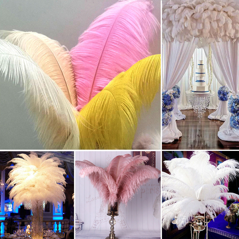 12 Pc Natural Plume Real Ostrich Feathers, DIY Centerpiece Fillers 13"-15" Rose Red