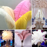 12 Pc Natural Plume Real Ostrich Feathers, DIY Centerpiece Fillers 13"-15" Rose Red