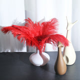 12 Pc Natural Plume Real Ostrich Feathers, DIY Centerpiece Fillers 24"-26" Red