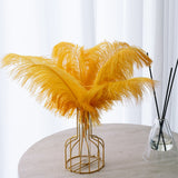 12 Pc Natural Plume Real Ostrich Feathers, DIY Centerpiece Fillers 24"-26" Gold