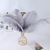 12 Pc Natural Plume Real Ostrich Feathers, DIY Centerpiece Fillers 24"-26" Gray