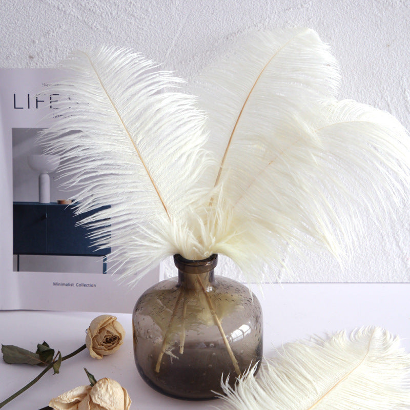 12 Pc Natural Plume Real Ostrich Feathers, DIY Centerpiece Fillers 13"-15" Beige