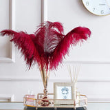 12 Pc Natural Plume Real Ostrich Feathers, DIY Centerpiece Fillers 24"-26" Wine Red