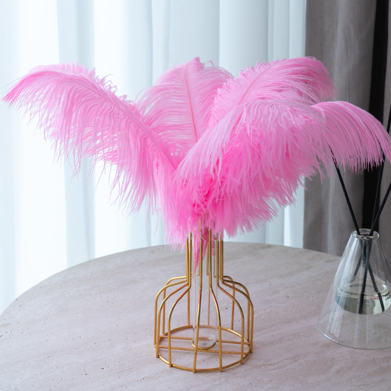 12 Pc Natural Plume Real Ostrich Feathers, DIY Centerpiece Fillers 13"-15" Pink