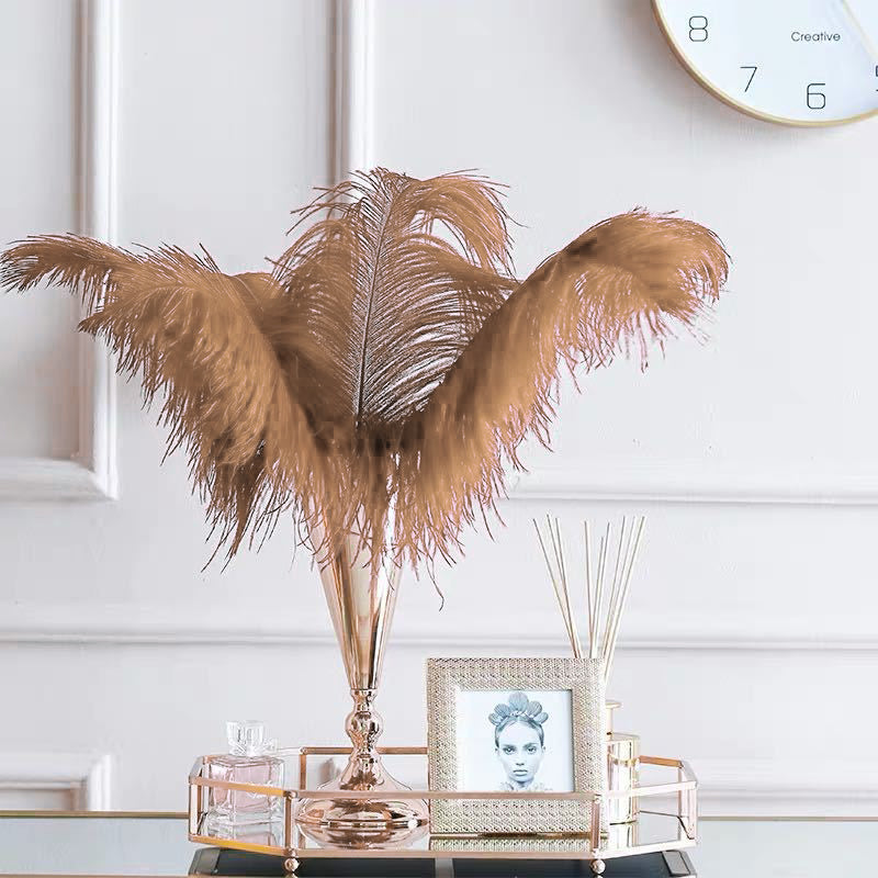 12 Pc Natural Plume Real Ostrich Feathers, DIY Centerpiece Fillers 13"-15" Coffee