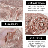 Champagne Sequin Backdrop Drape Curtains with Rod Pockets - 8ftx8ft