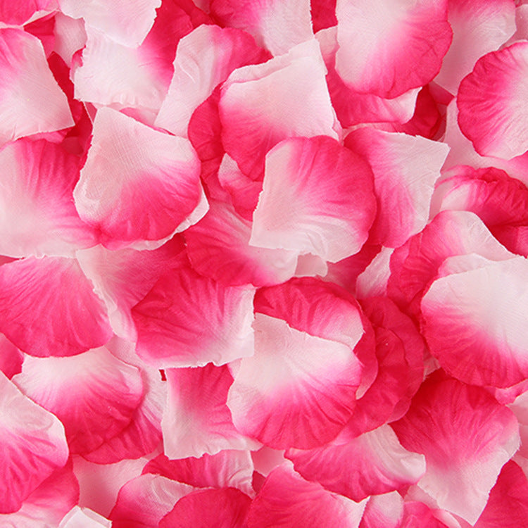 500 Pc Silk Rose Petals Confetti Gradient Purple Red White