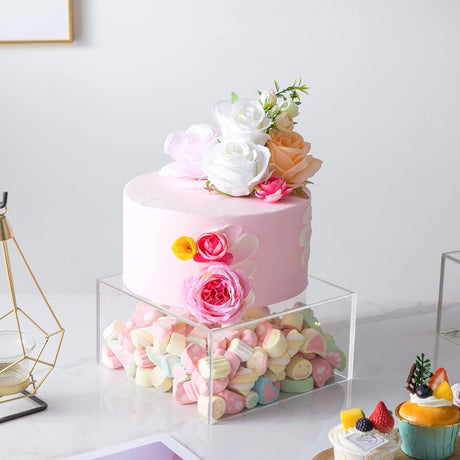 Acrylic Cake Box Stand Pedestal Riser Transparent Clear 16"x16" - YauSpark