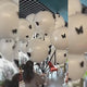 10 Sets Double-layer Clear Bobo Balloons 18" Black